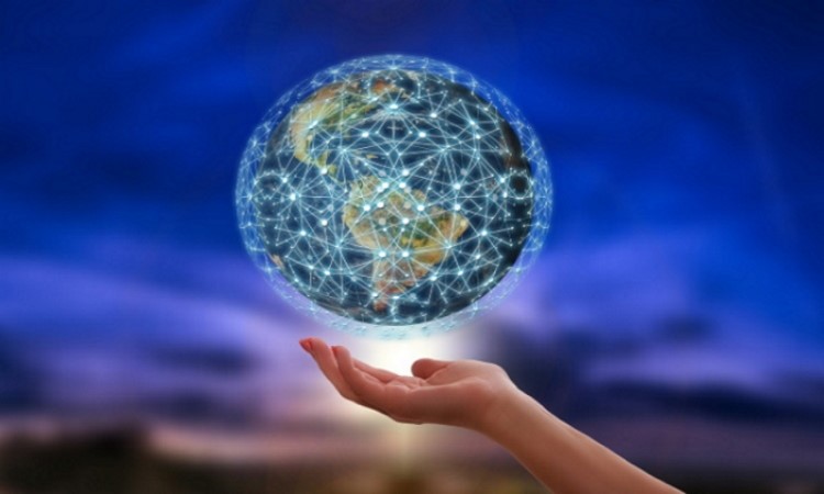 network-OK2.jpg